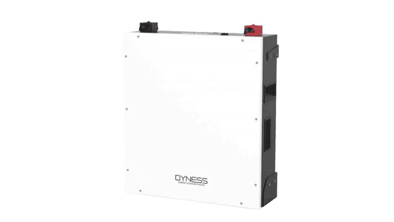 Dyness LiFePo4 DL5.0C 5.12KWH 51.2V Battery